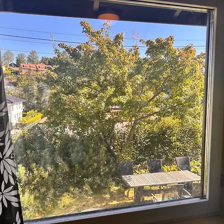 Asleep In The Valley *